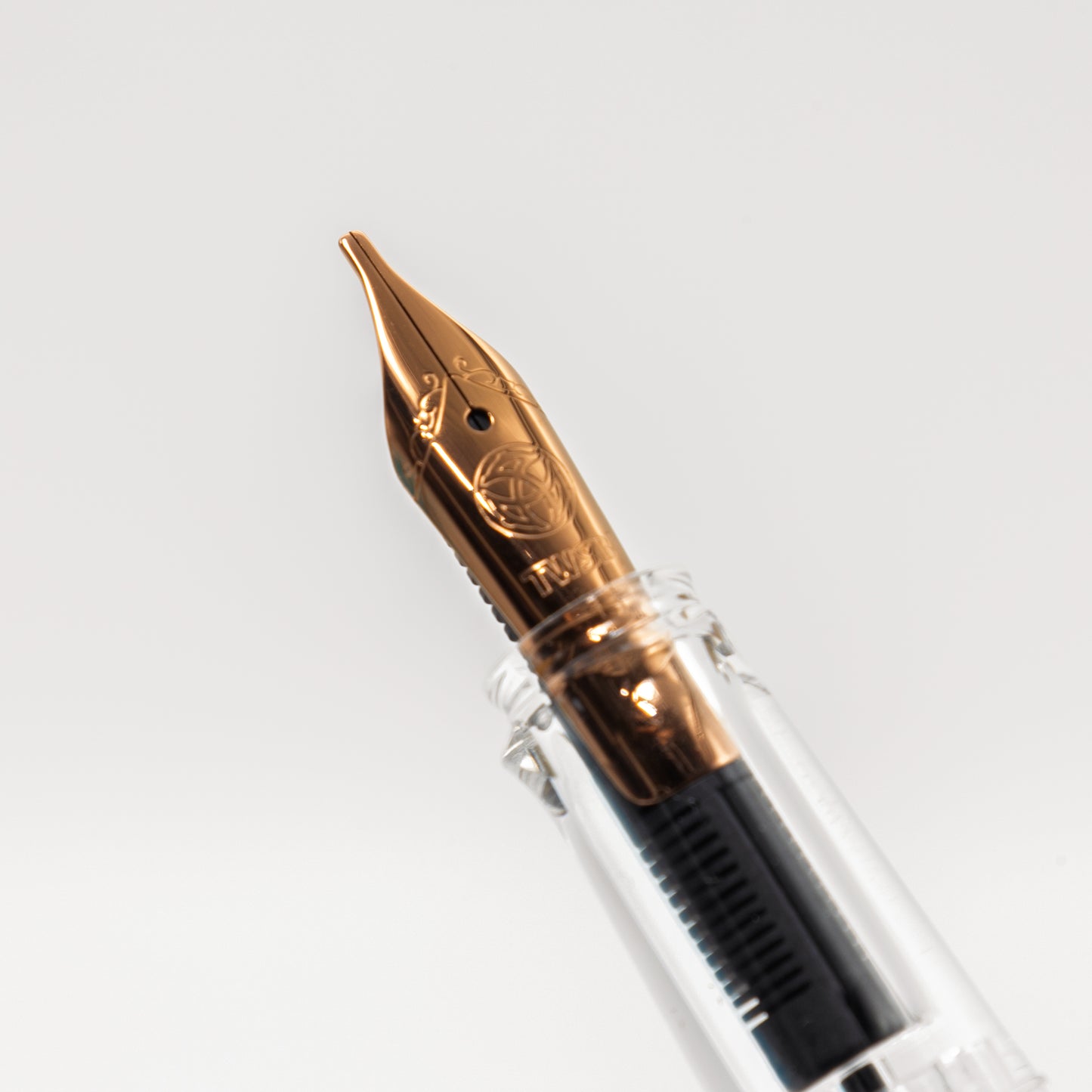 TWSBI ECO Serpentine with Bronze Fountain Pen