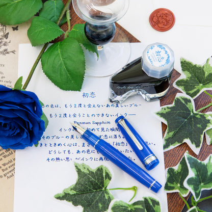 First Love, ProGear with a hand-finished steel nib