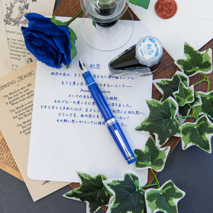 First Love, ProGear with a hand-finished steel nib