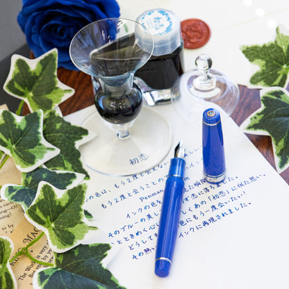 First Love, ProGear with a hand-finished steel nib