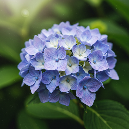 Hydrangea Double-sided Glass Pen, BUNGUBOX x Synchronicity Glass Art