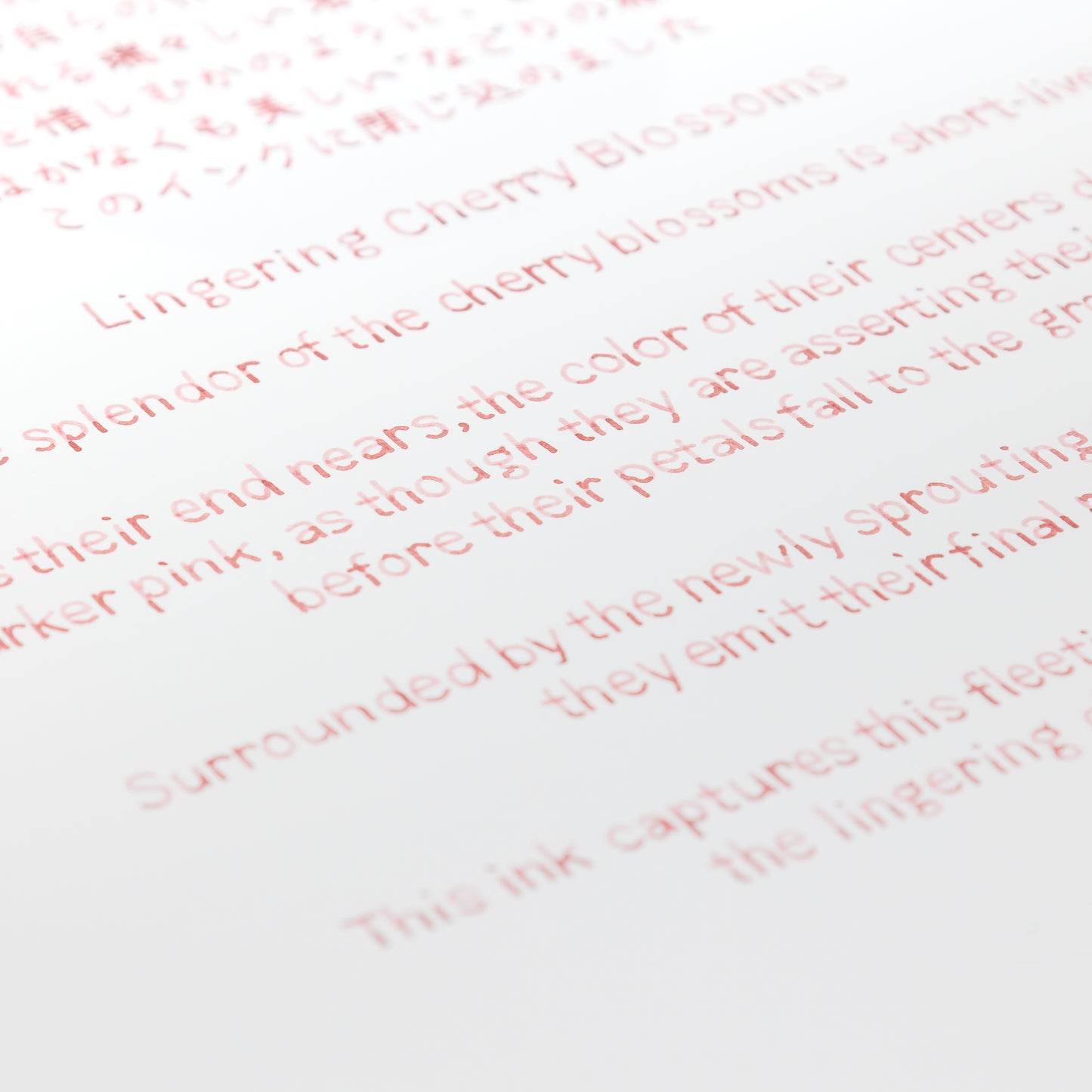 Lingering Cherry Blossoms Ink