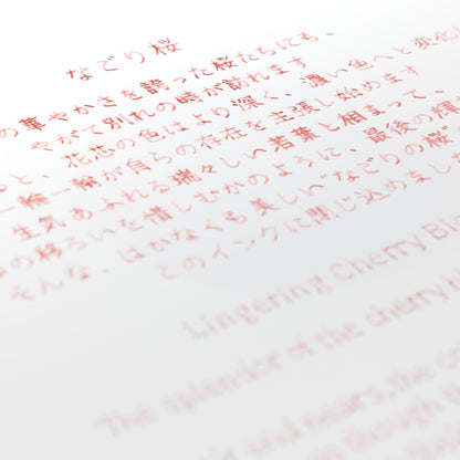 Lingering Cherry Blossoms Ink