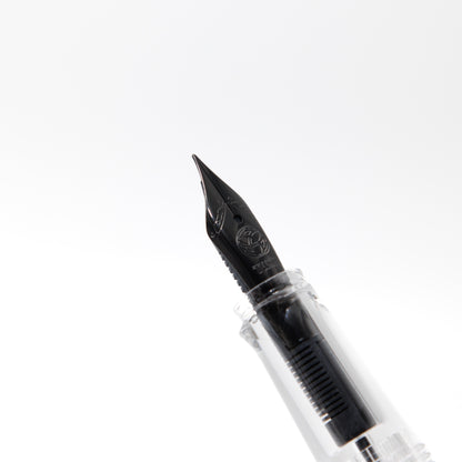 TWSBI ECO Plum with Onyx Fountain Pen