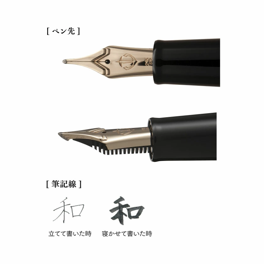 SAILOR King Eagle Special Nib Fountain Pen