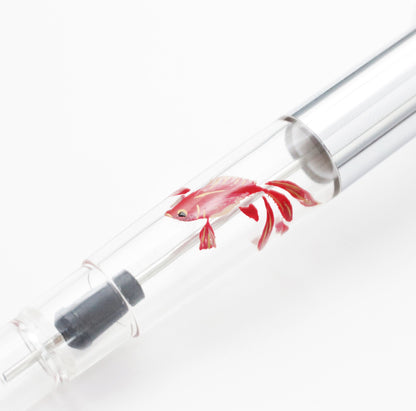 Goldfish, Wajima Maki-e Converter PILOT