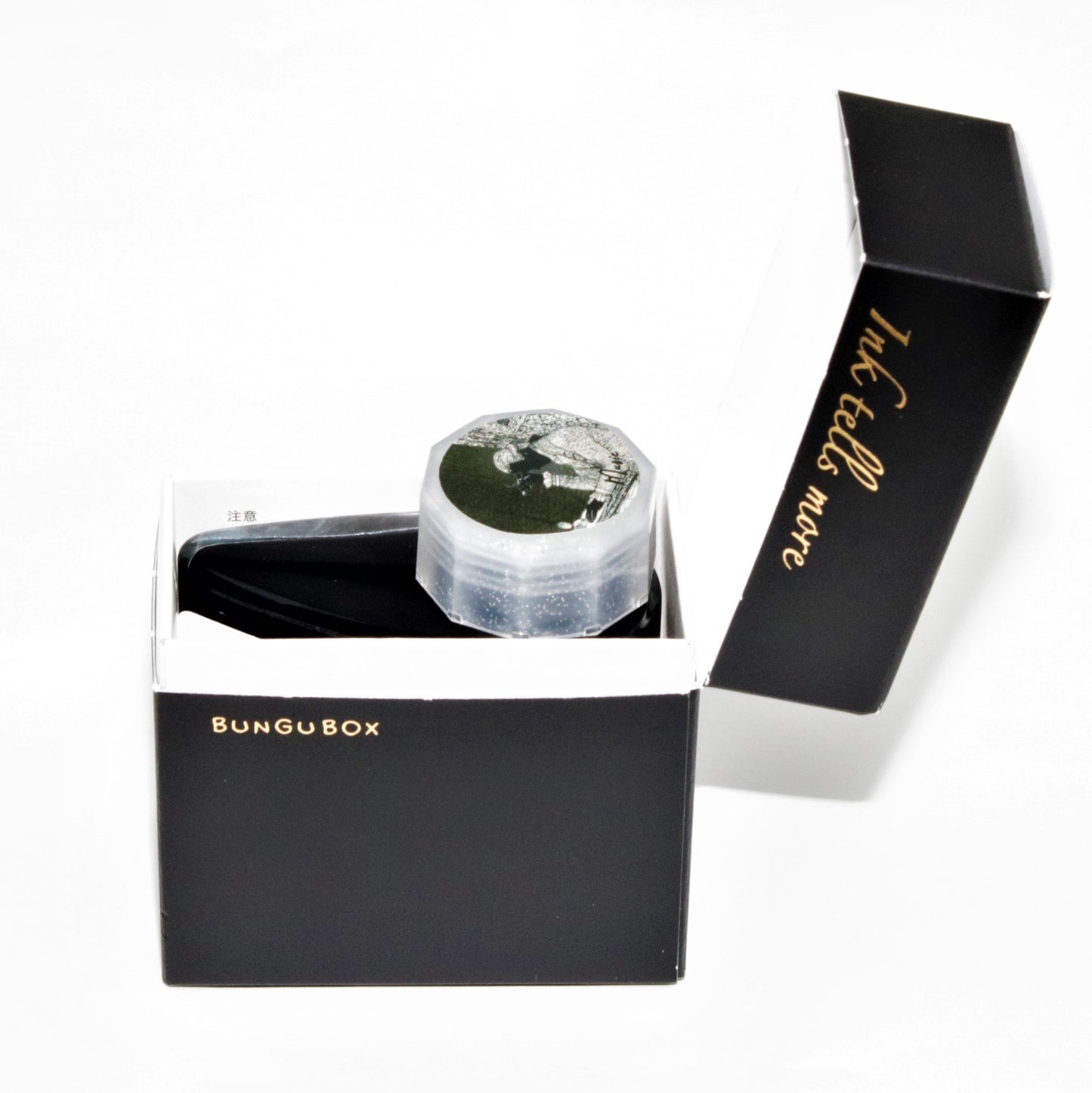 Eternal Music Pigment Ink